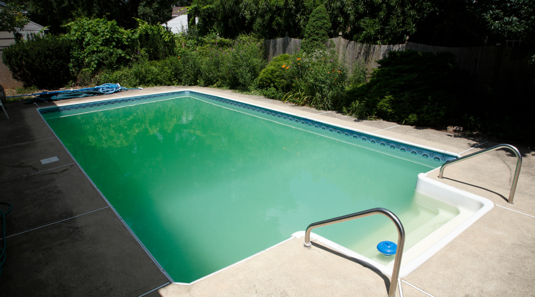 Comment réagir à une eau de piscine verte?
