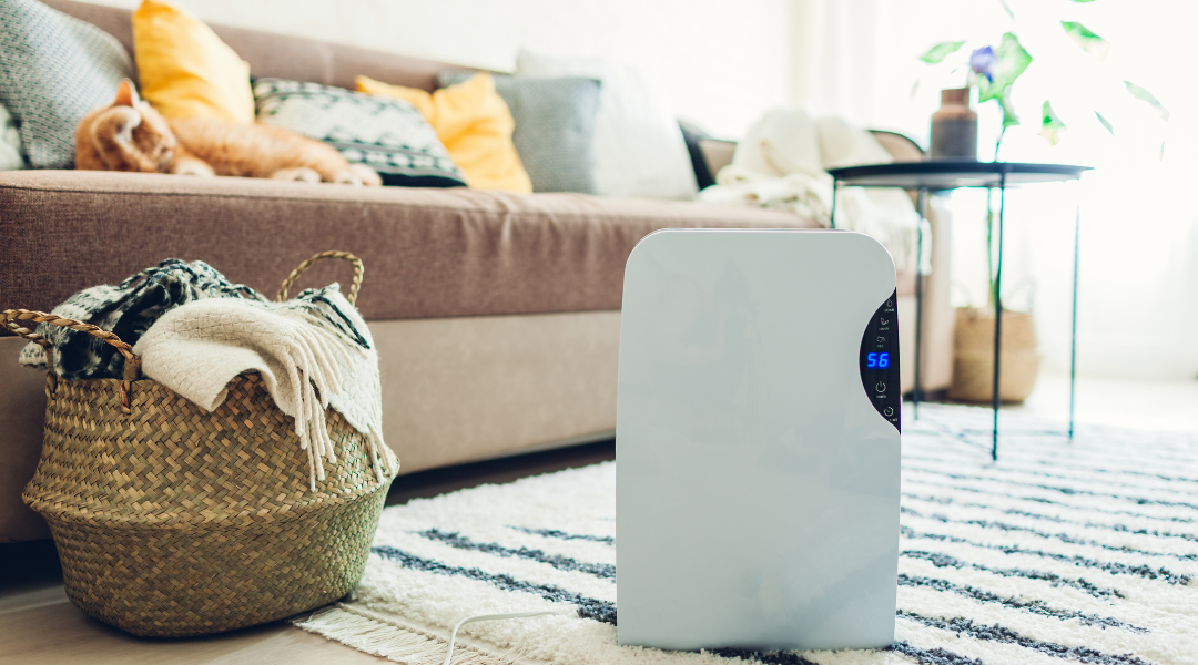 How to choose and use a dehumidifier effectively